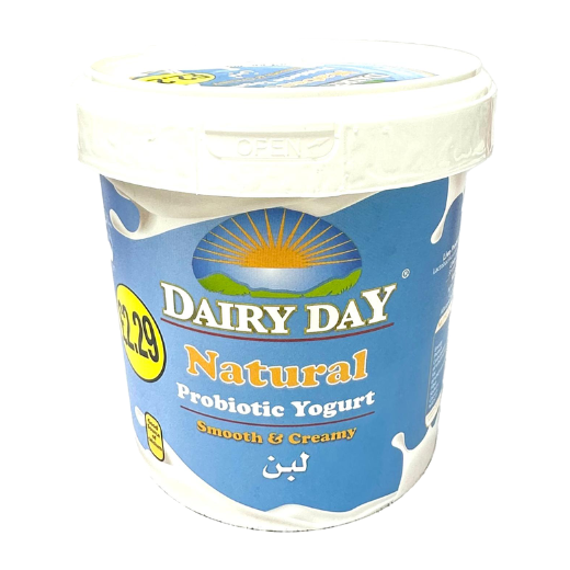 P10569 Dairy Day Yogurt 1kg 1x1kg